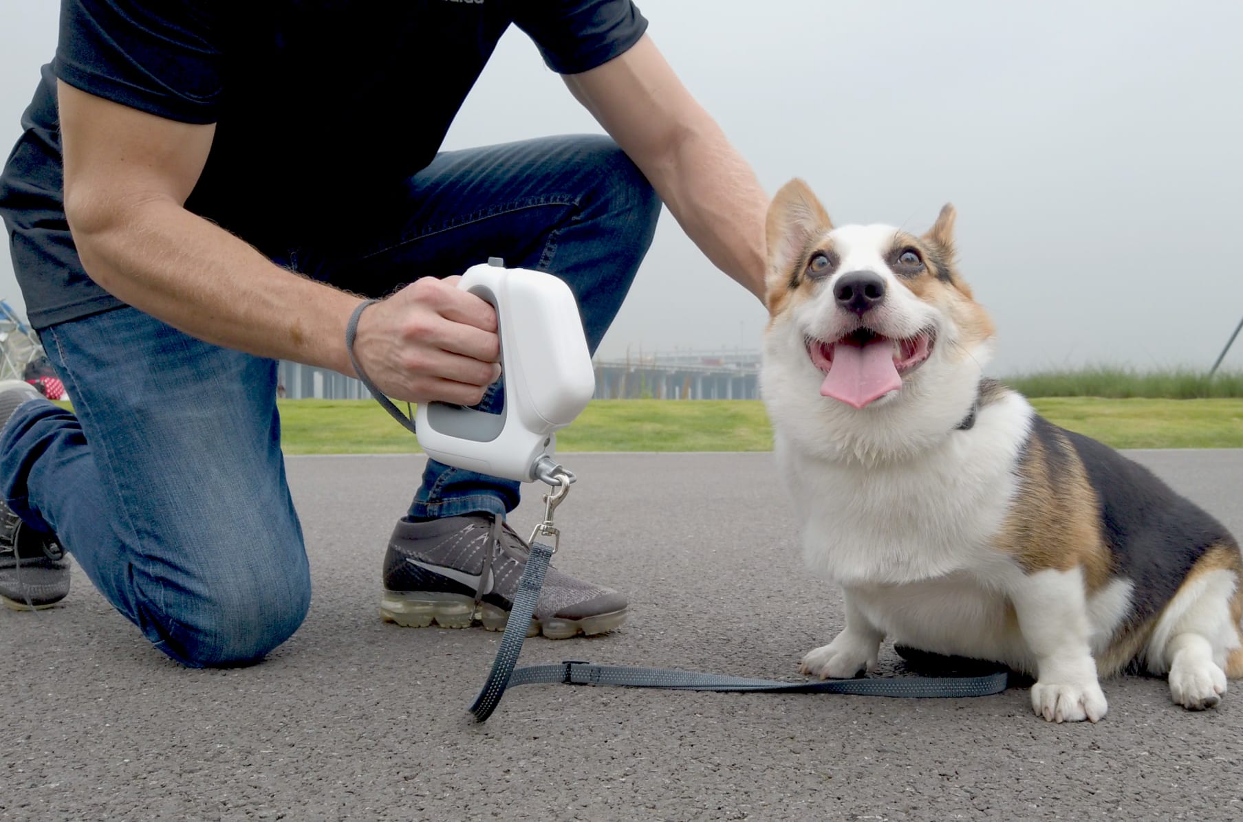 leash and collar in one