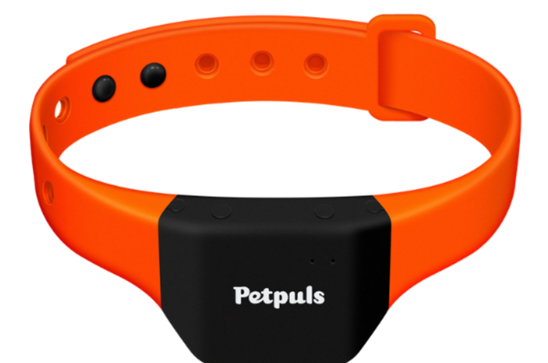 Pet plus smart collar Clearance