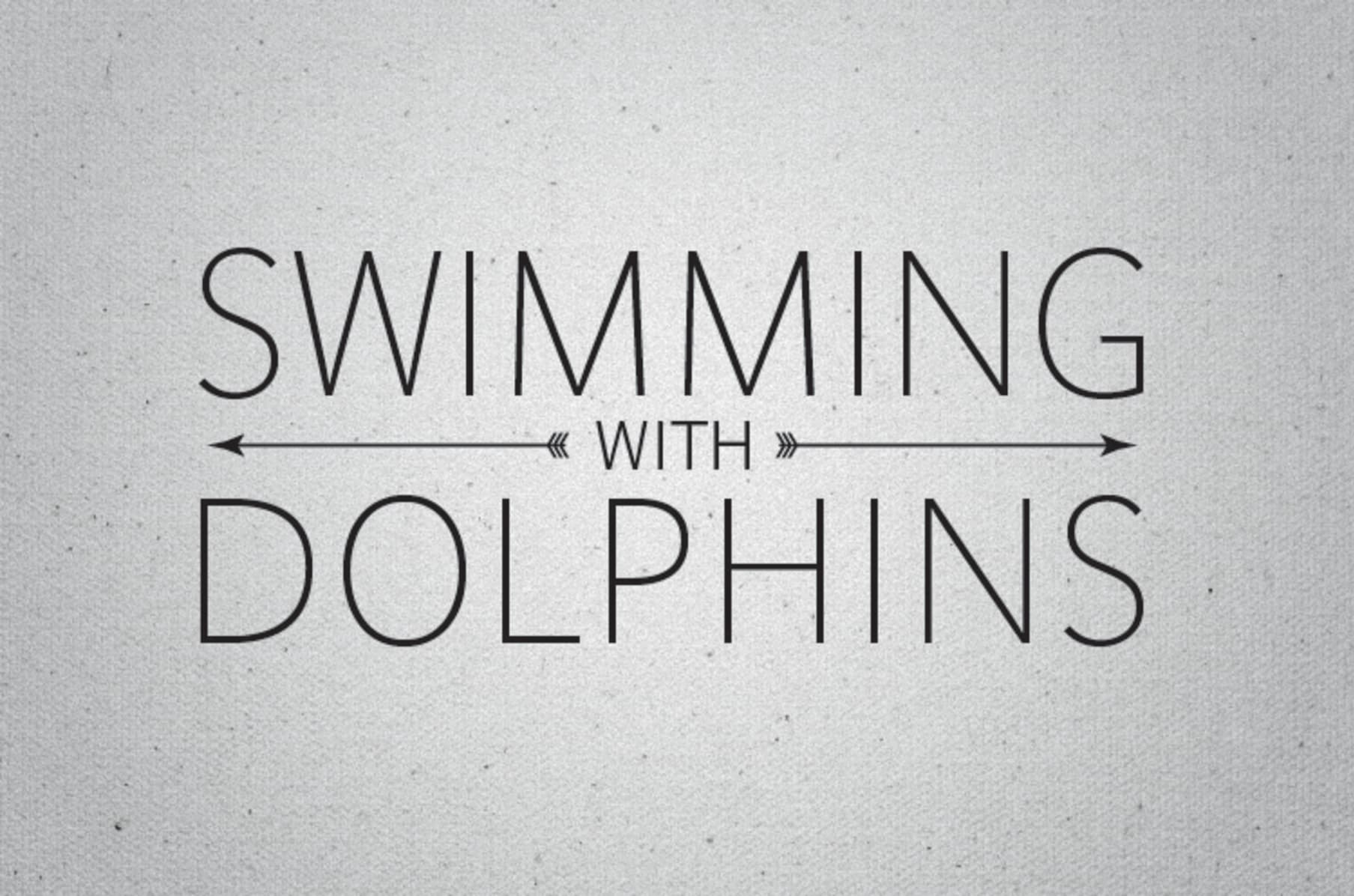 Swimming With Dolphins Catharsis Indiegogo Current members of the band include sarah beintker. swimming with dolphins catharsis