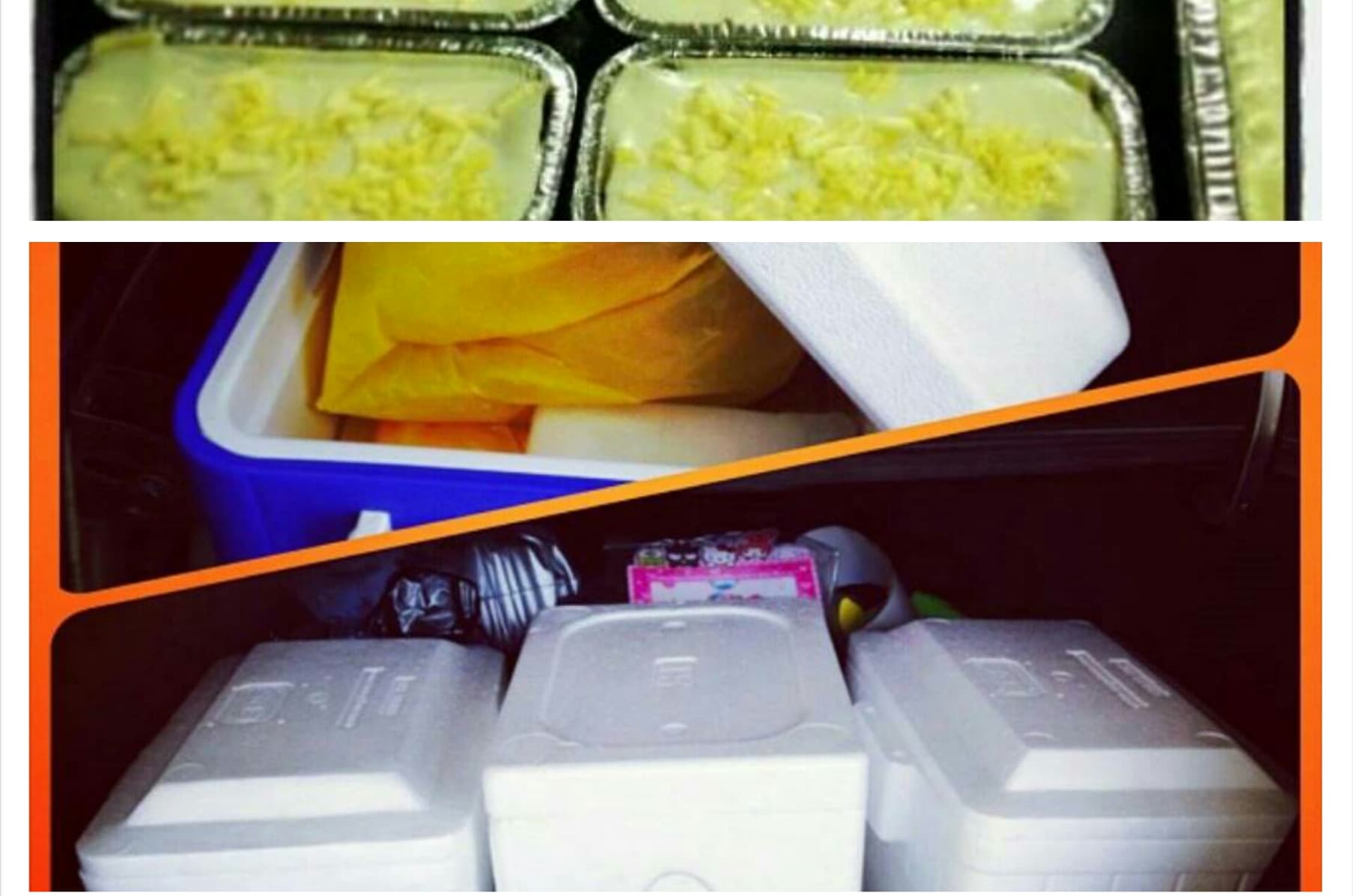 Online Frozen Food Haus Indiegogo