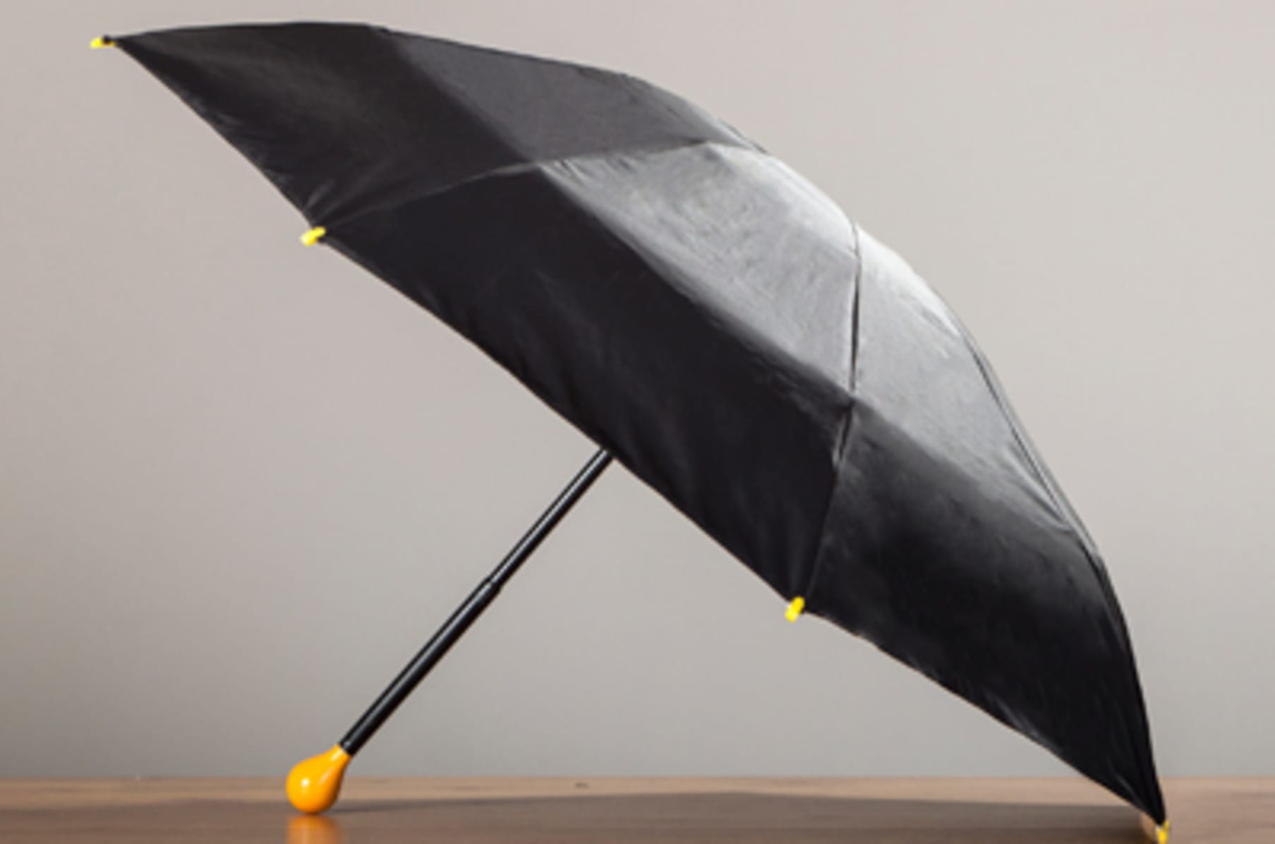 Ginkgo ombrello Clearance