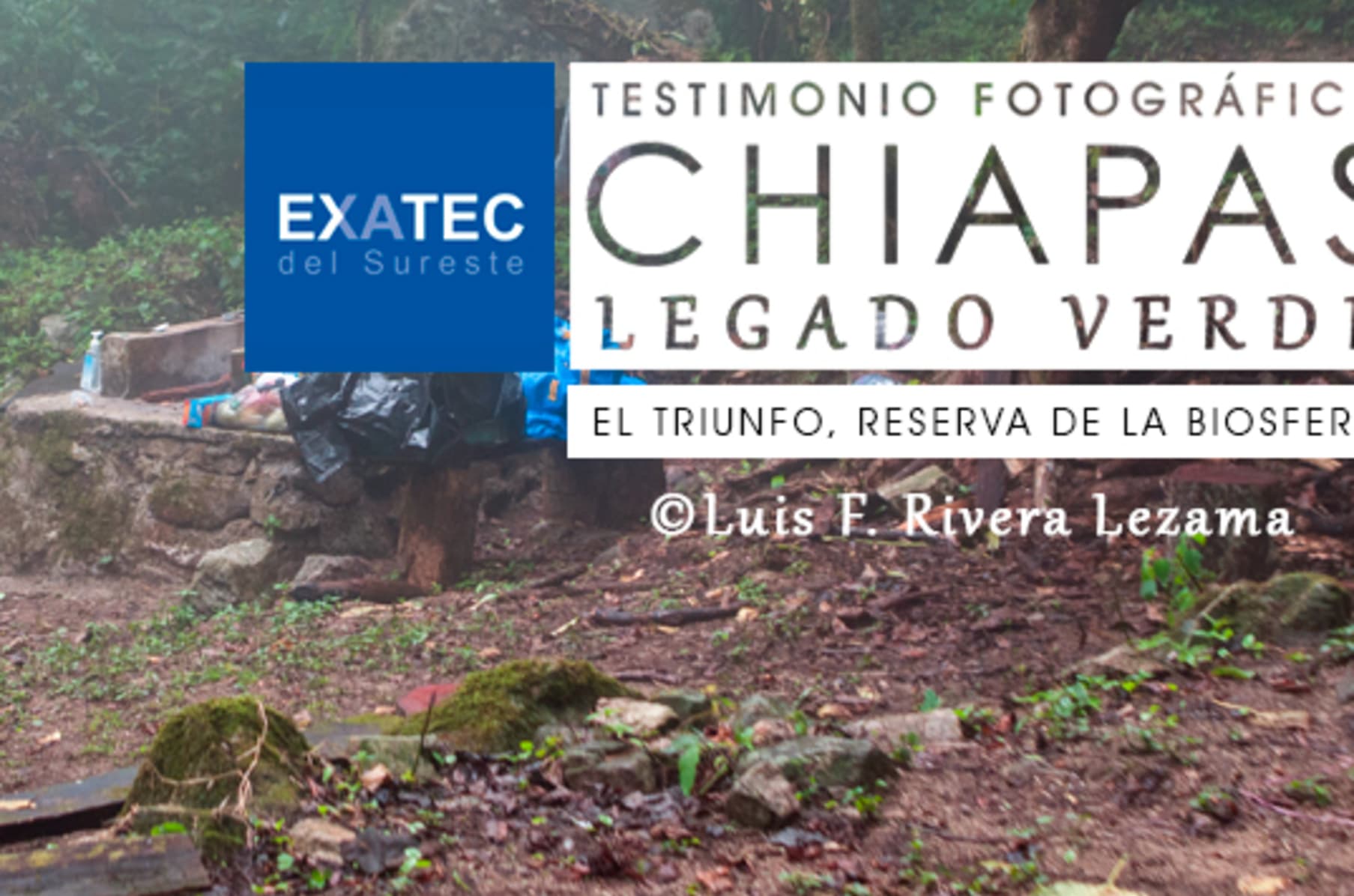 Chiapas Mexico S Green Legacy The Book Indiegogo