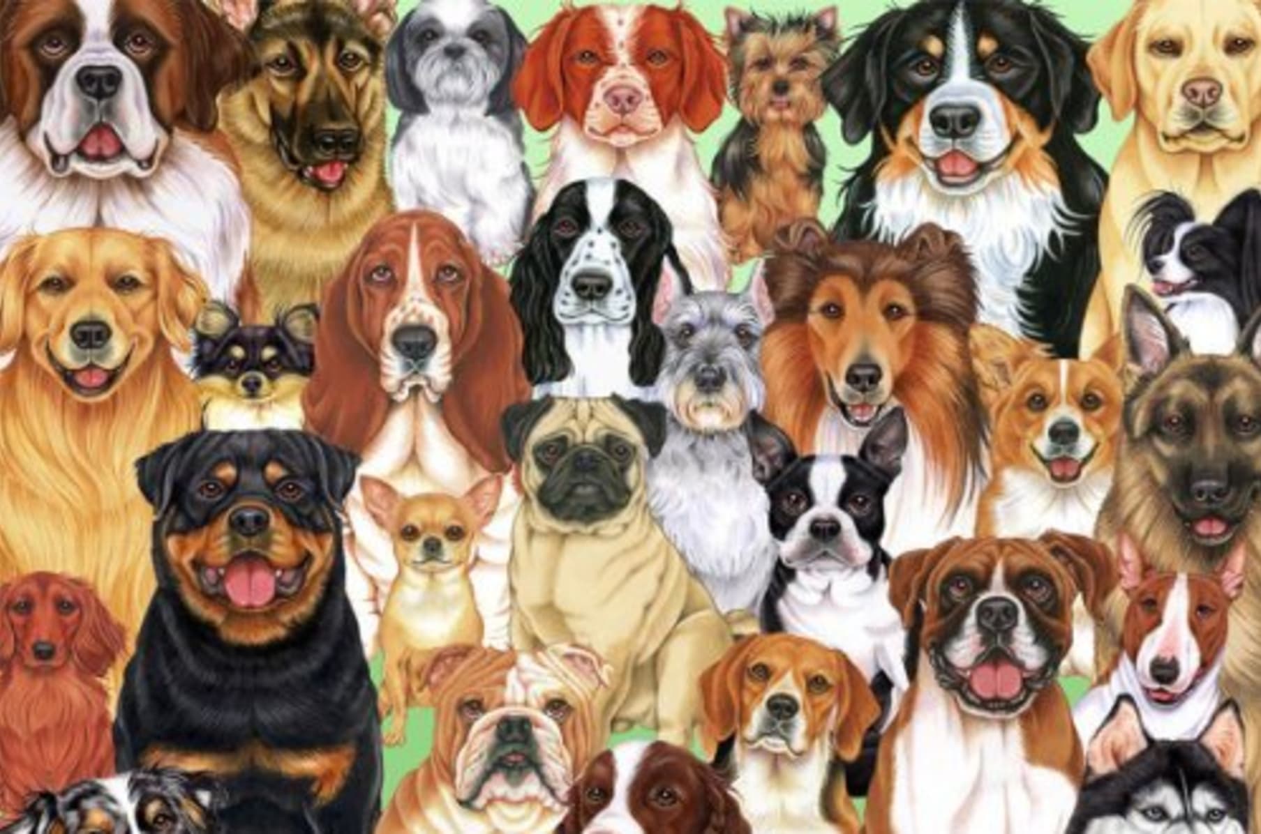 list of all dog breeds with pictures