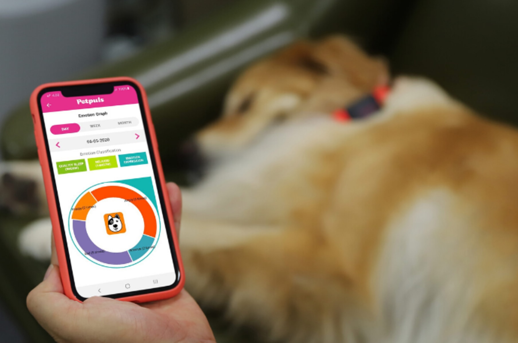 Pet plus smart collar Clearance