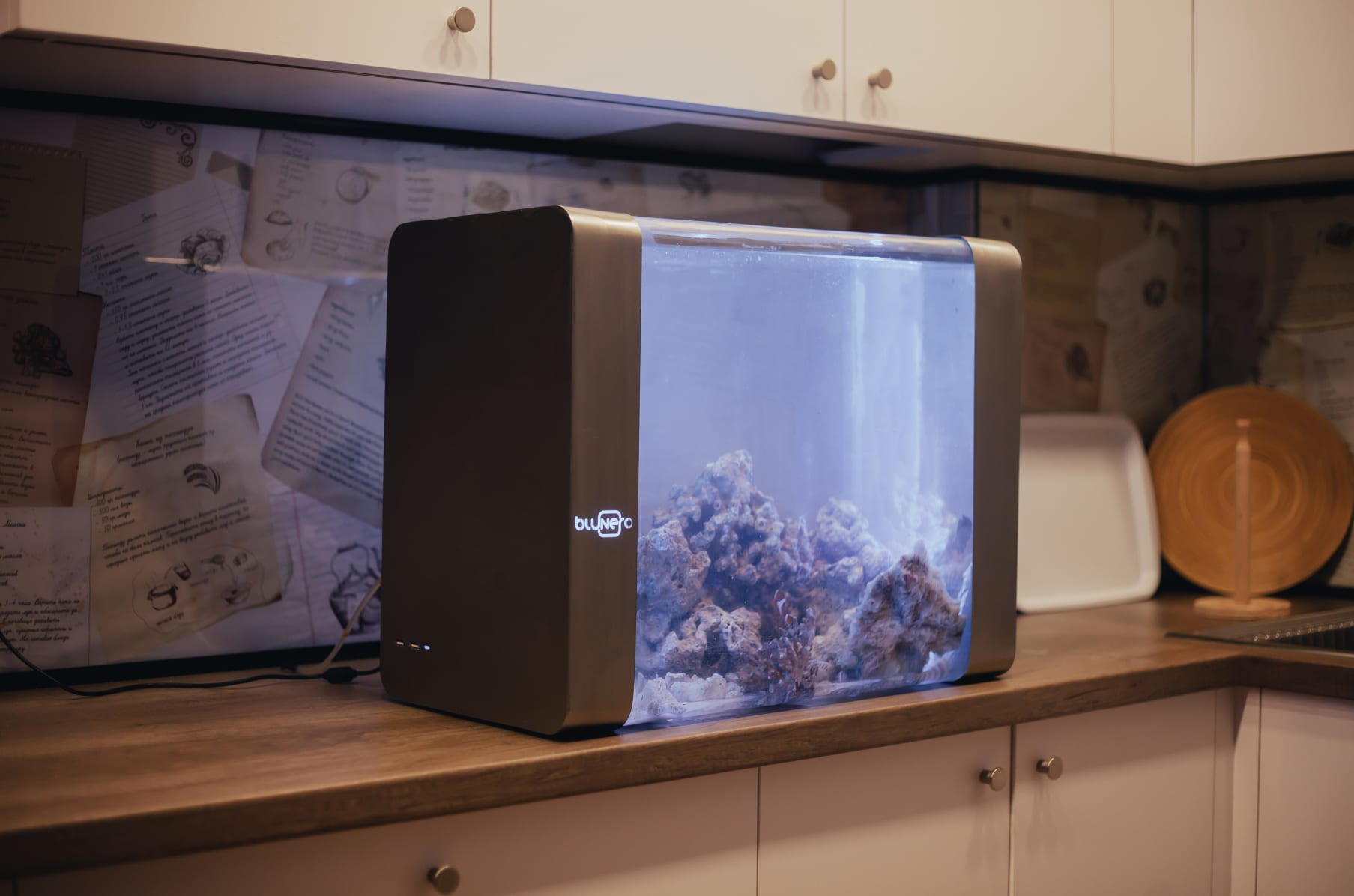 Bluenero World s Most Advanced Smart Aquarium Indiegogo
