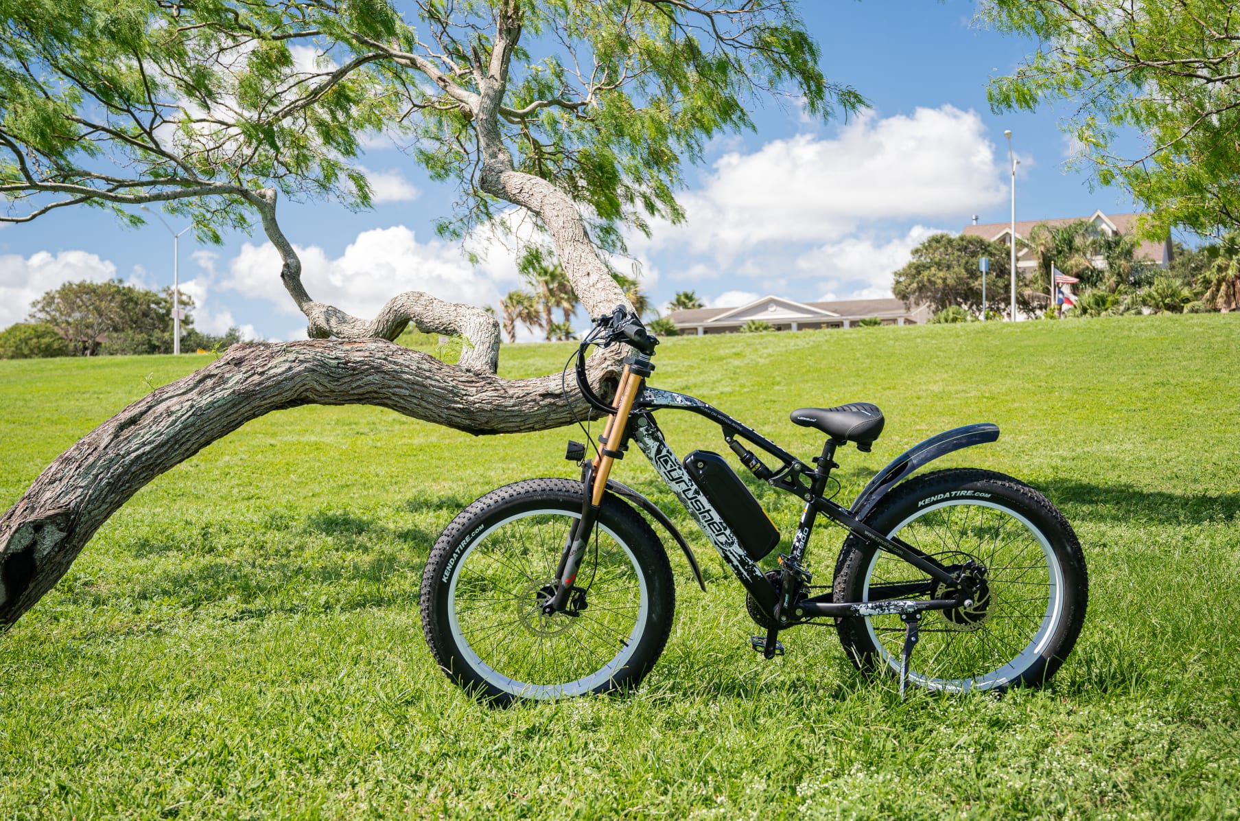 Cyrusher everest xf900 cheap