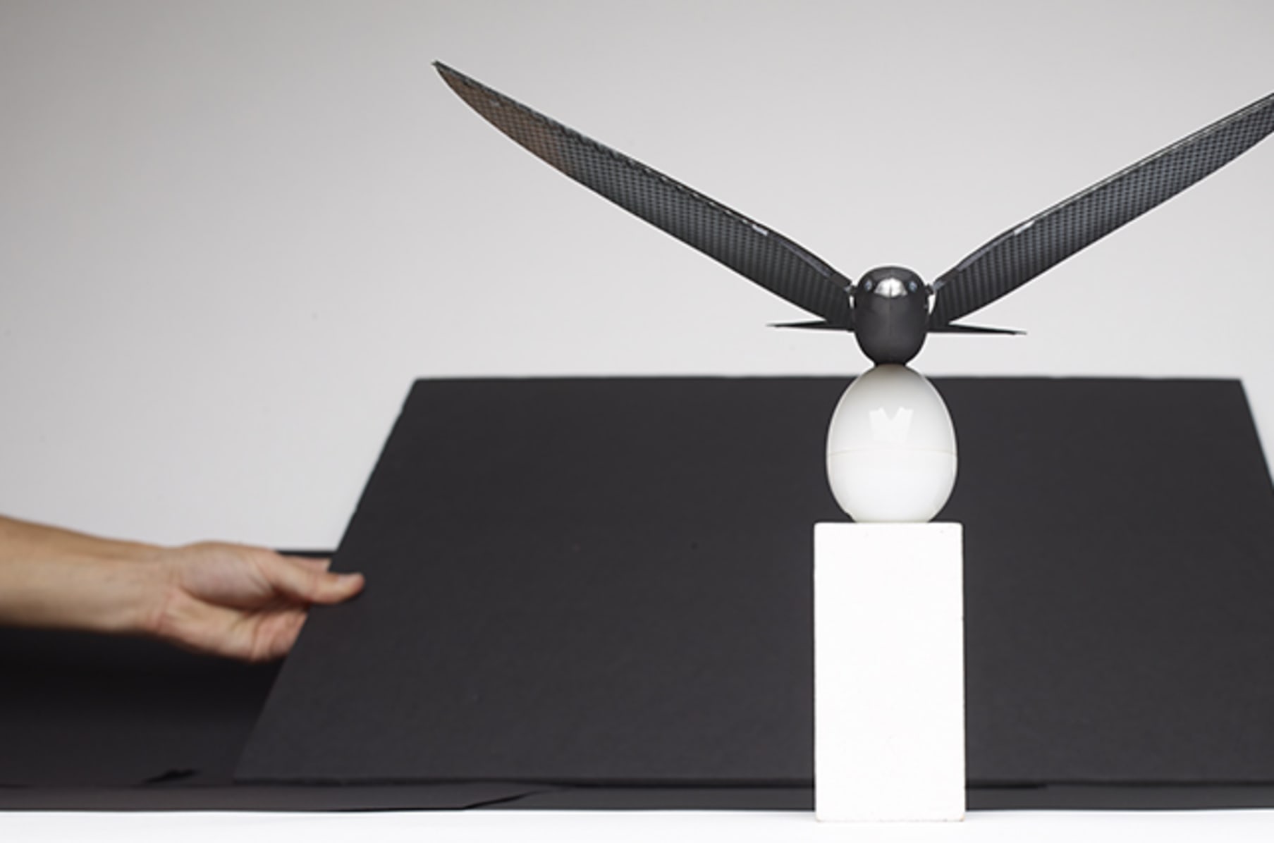 Bionic bird starter kit shop