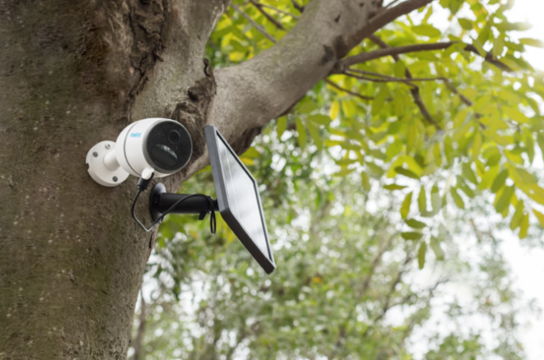 Reolink Go Wire Free 4G Mobile Solar Security Cam Indiegogo