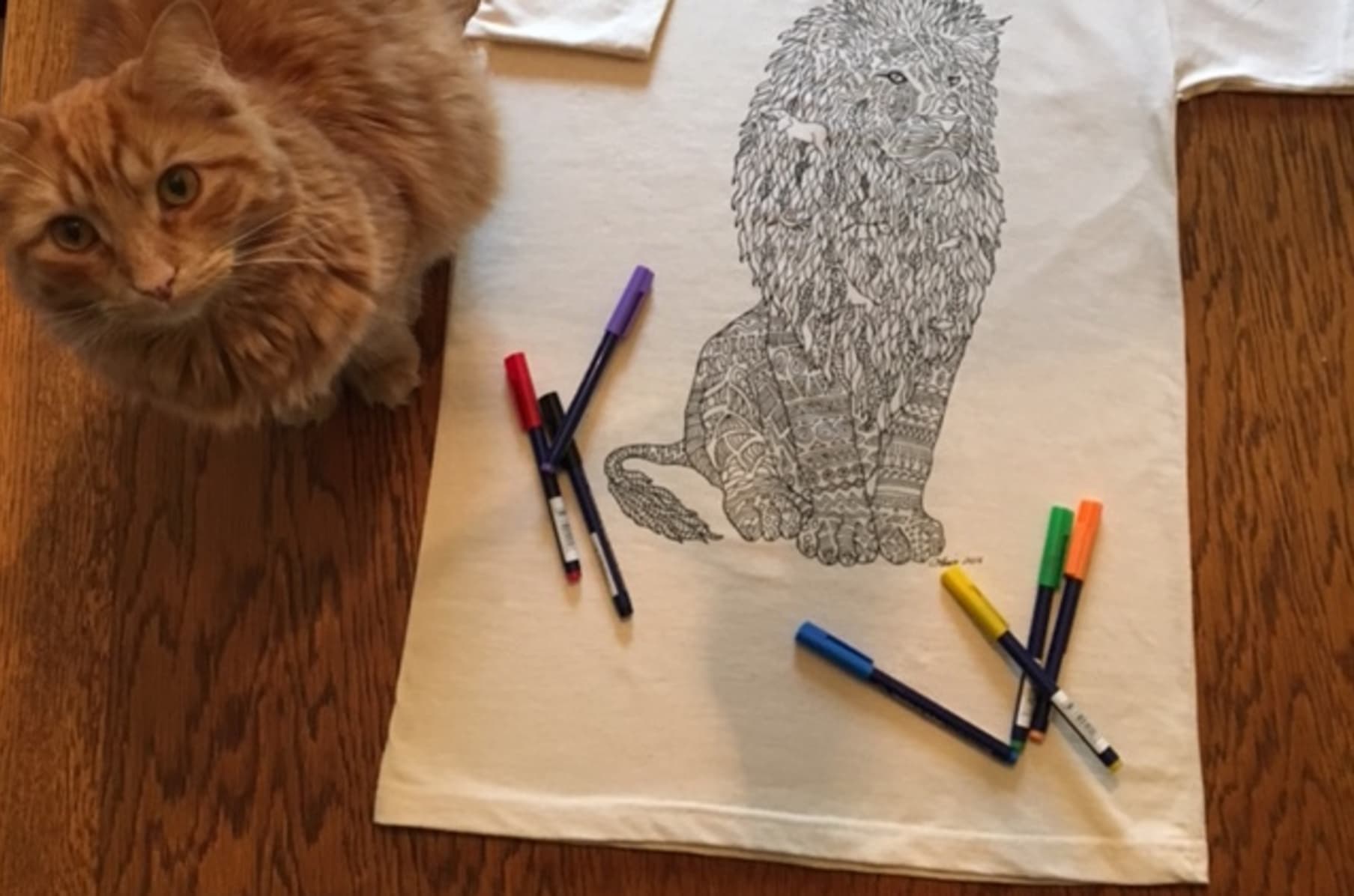 Color Me Free T Shirts And Coloring Book Indiegogo