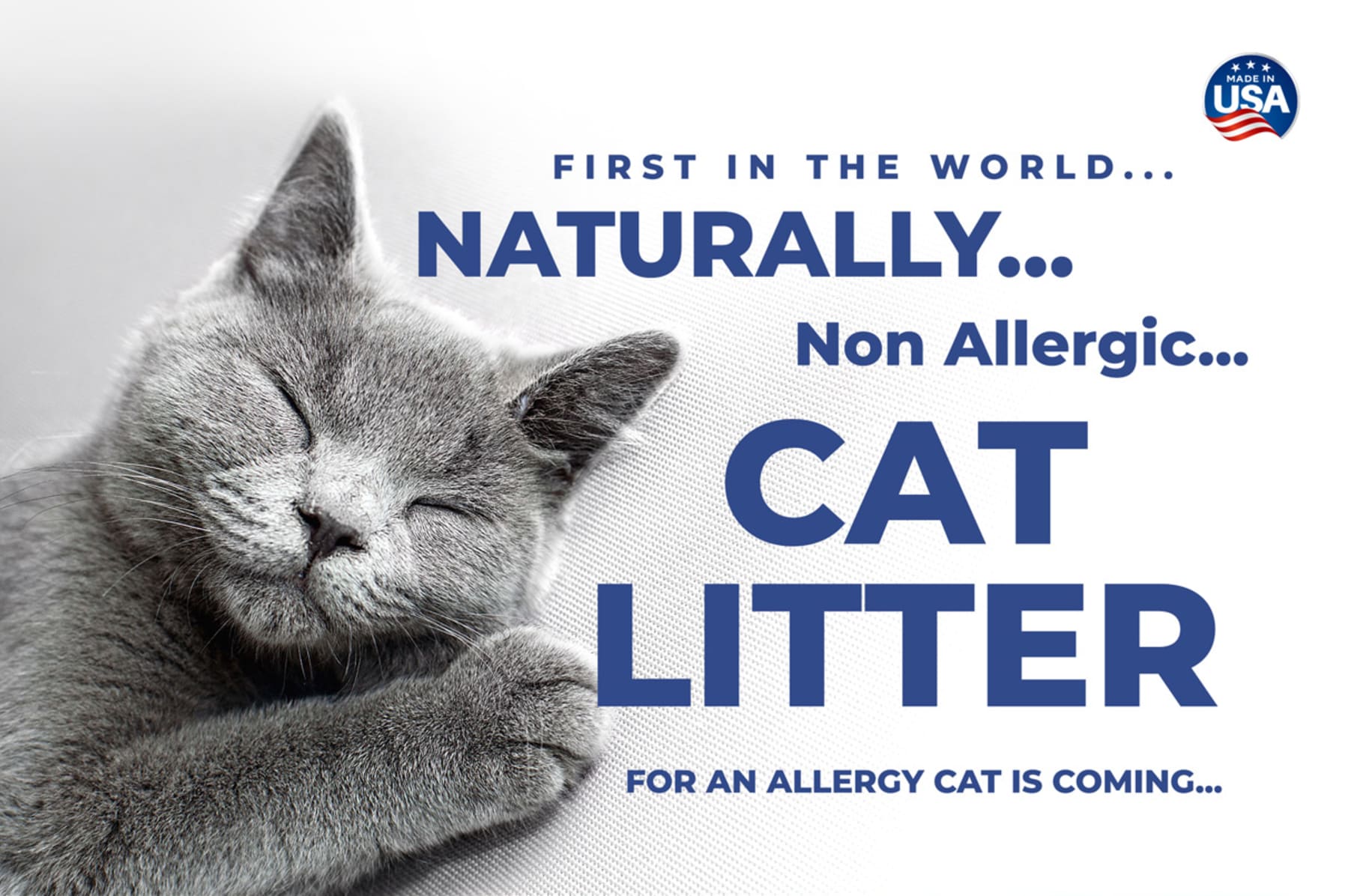 Cat litter allergy clearance