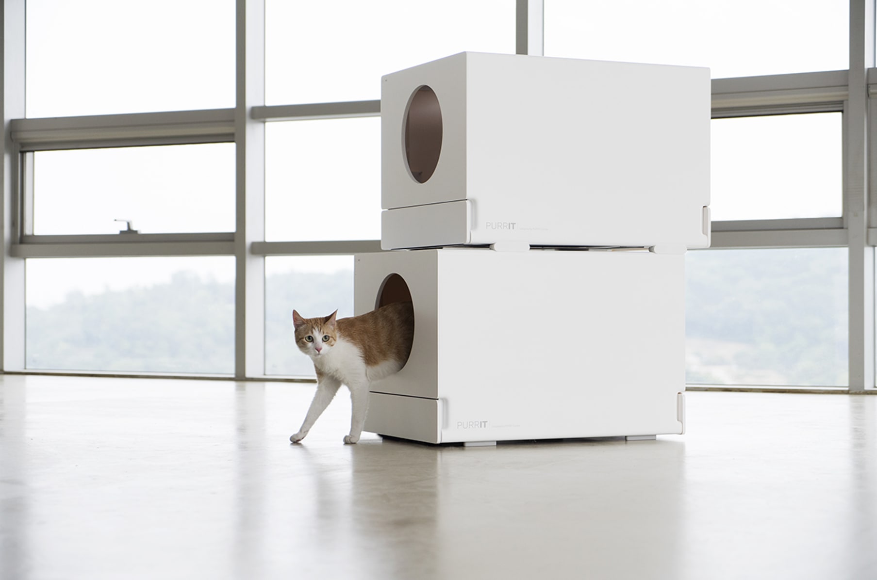 Biggest cat litter box clearance