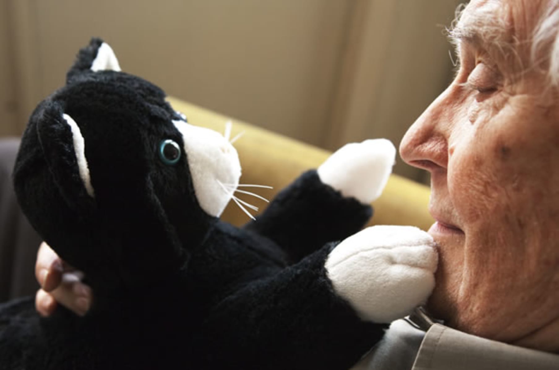 dementia cat toy uk