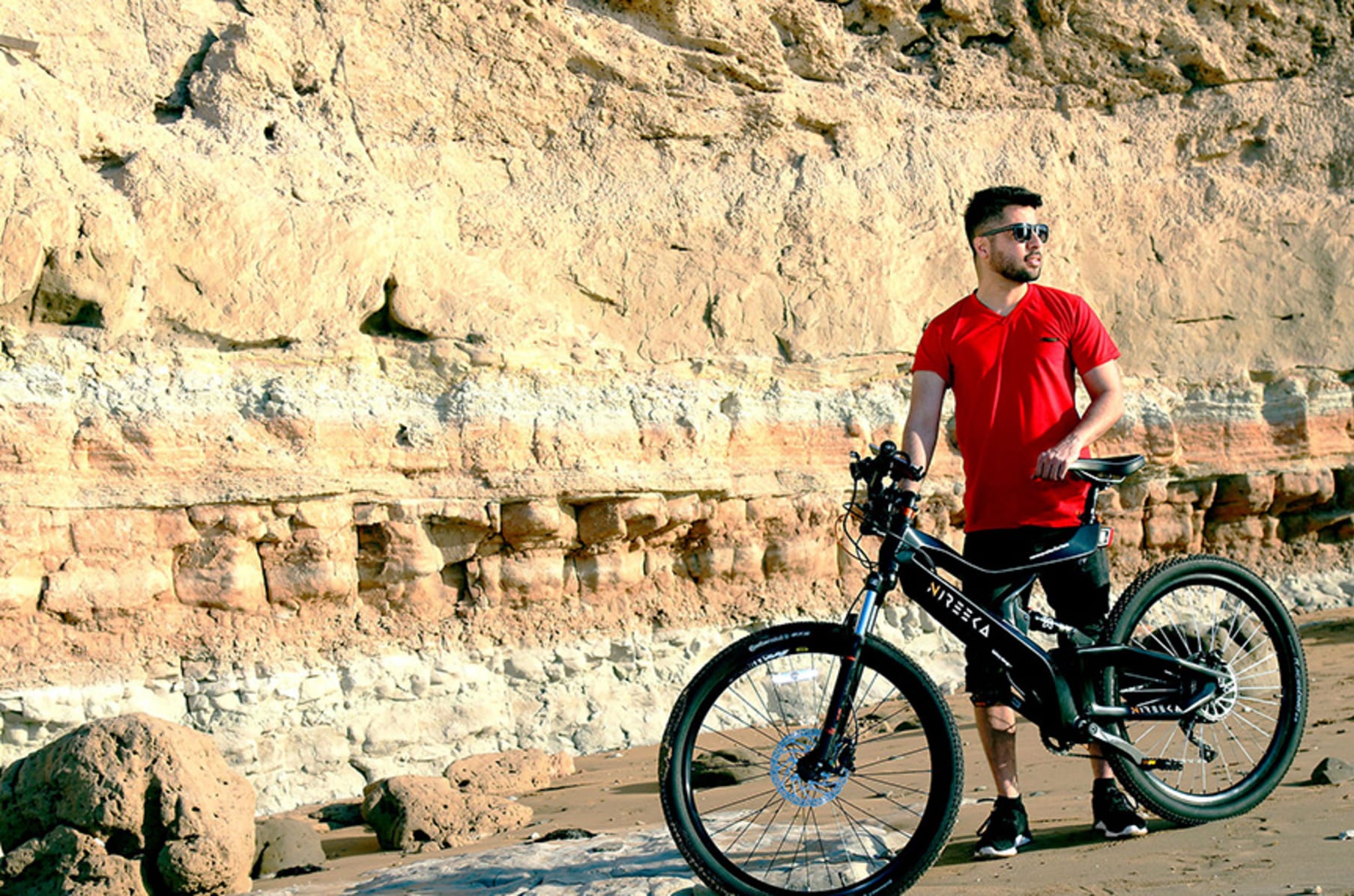 Nireeka ebike sale for sale
