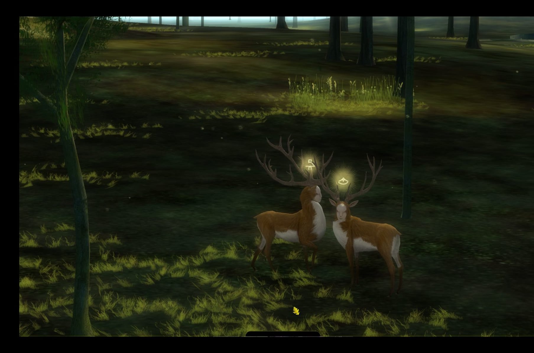 The Endless Forest