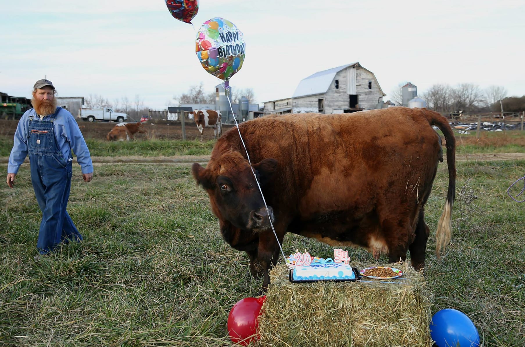 The Last Barn Dance A Documentary Film Indiegogo