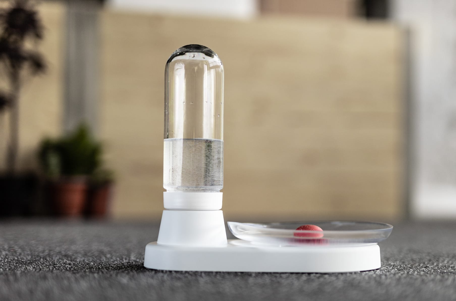 Cat water fountain non electric cheap