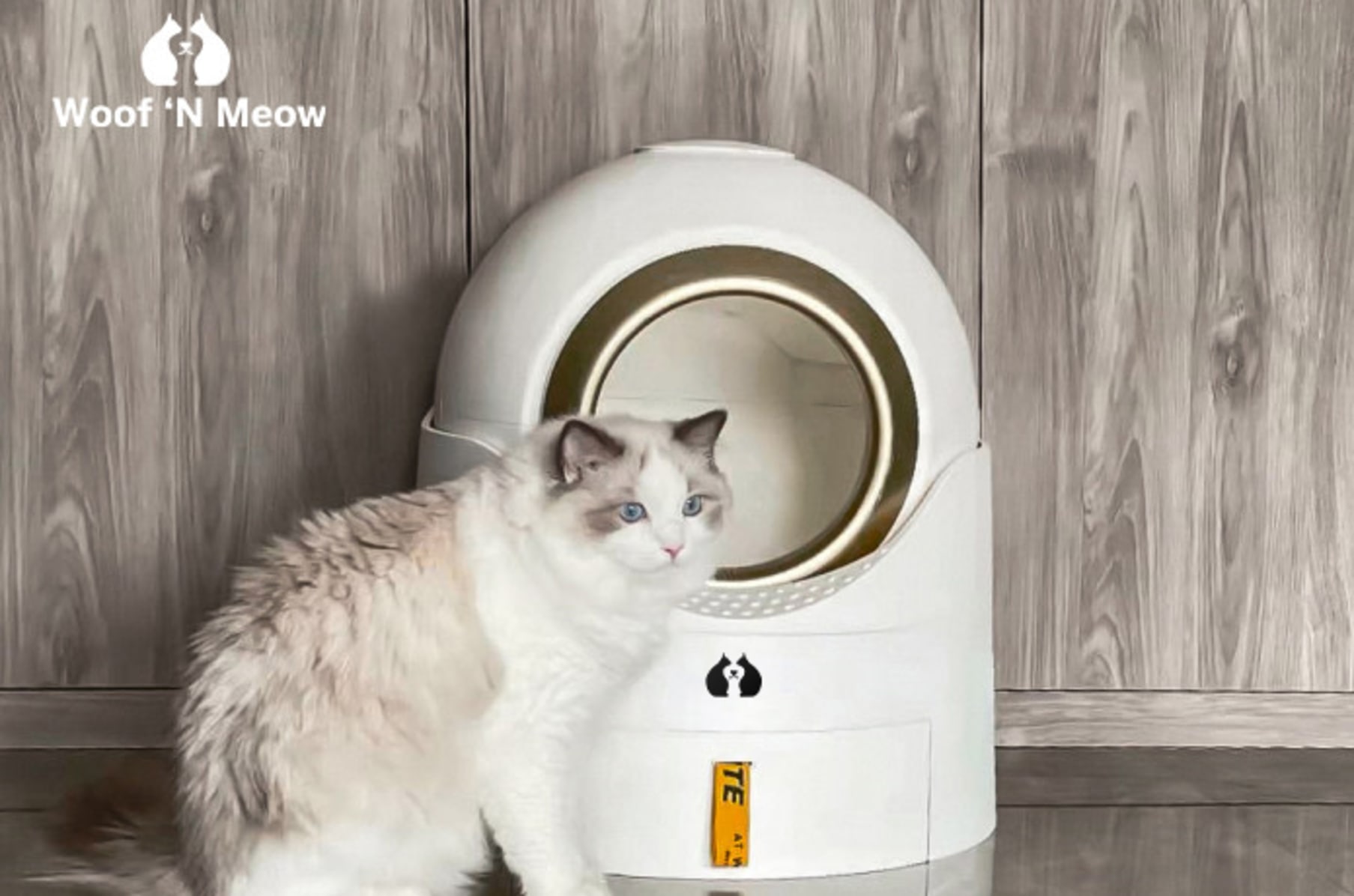 Our pets smartscoop intelligent litter box reviews deals