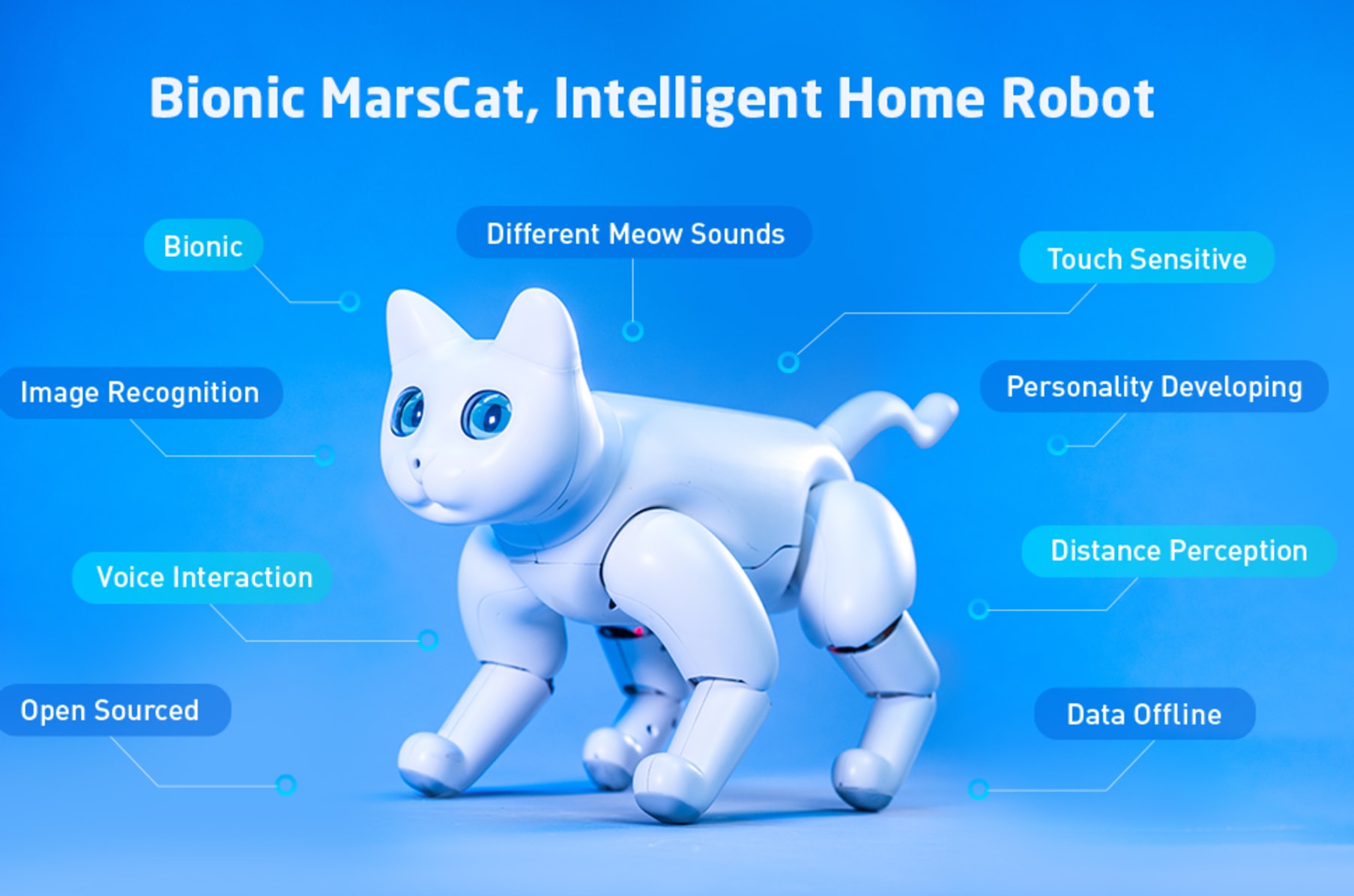kickstarter robot cat