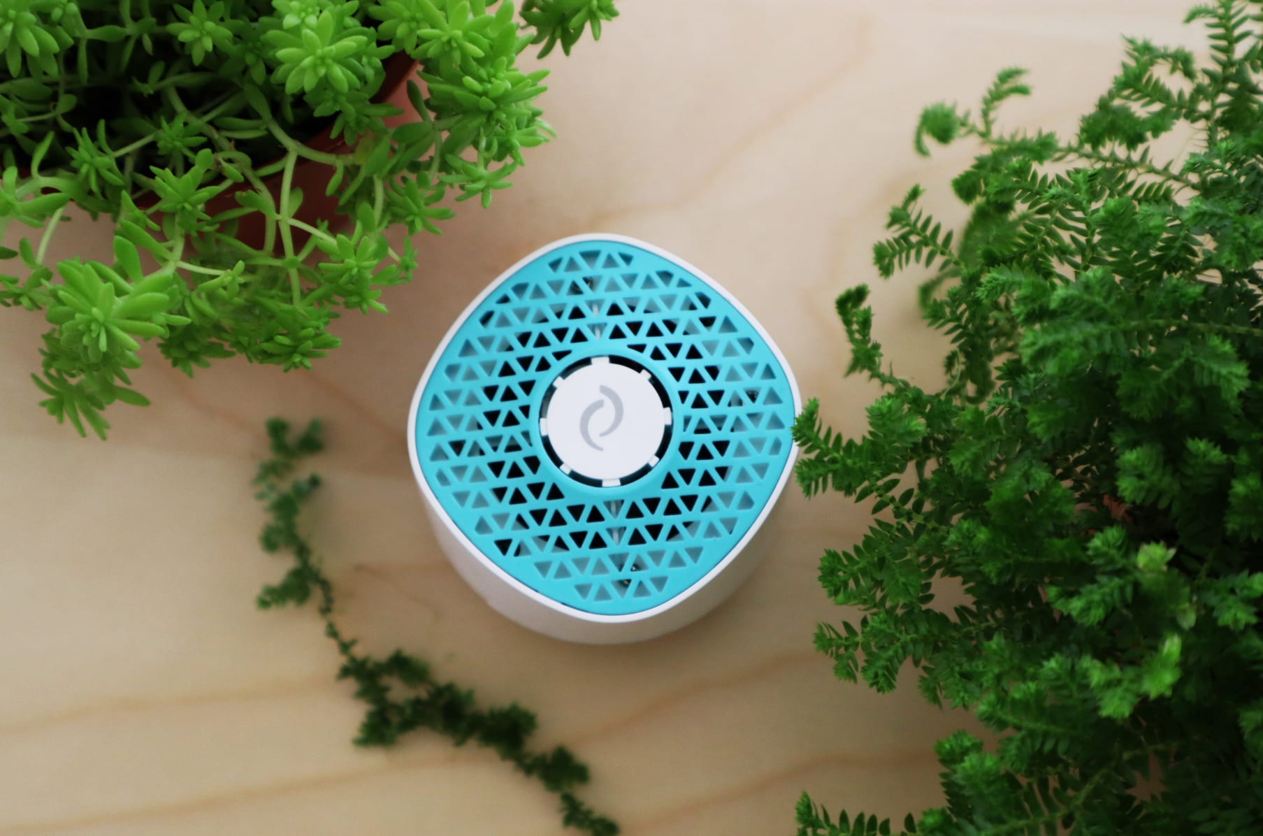 Ventifresh eco outlet plus odor eliminator