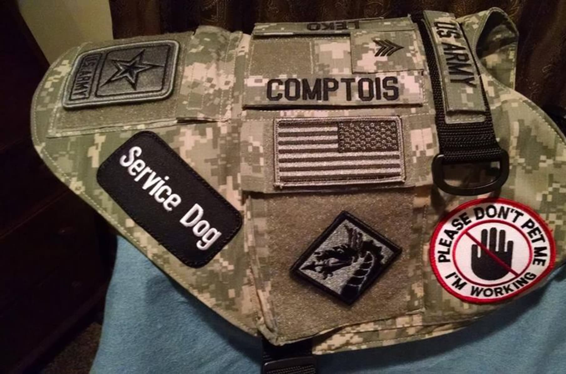 Dog Vests 4 Vets Indiegogo