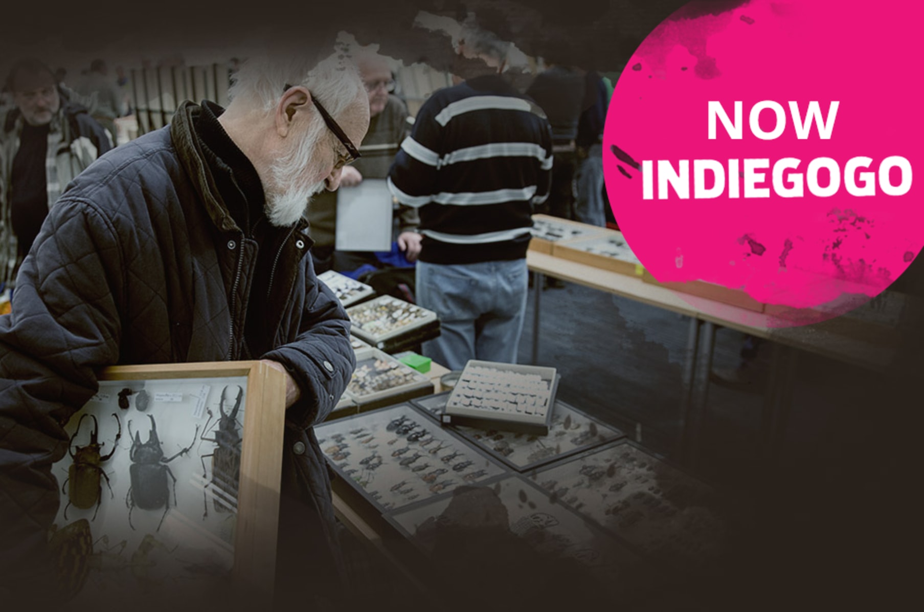 The Last Film By Jan Svankmajer Insects Indiegogo
