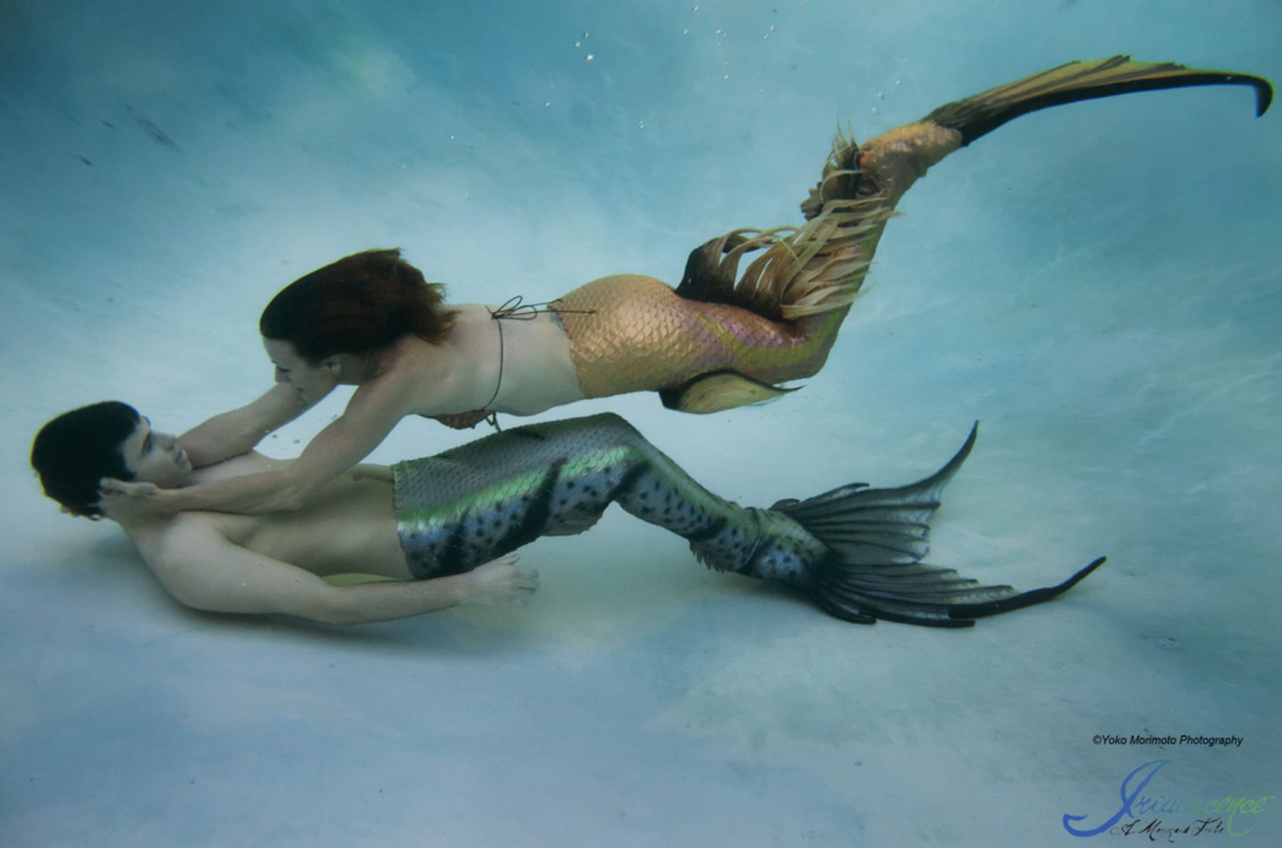 The Iridescence Mermaids Merquarium | Indiegogo