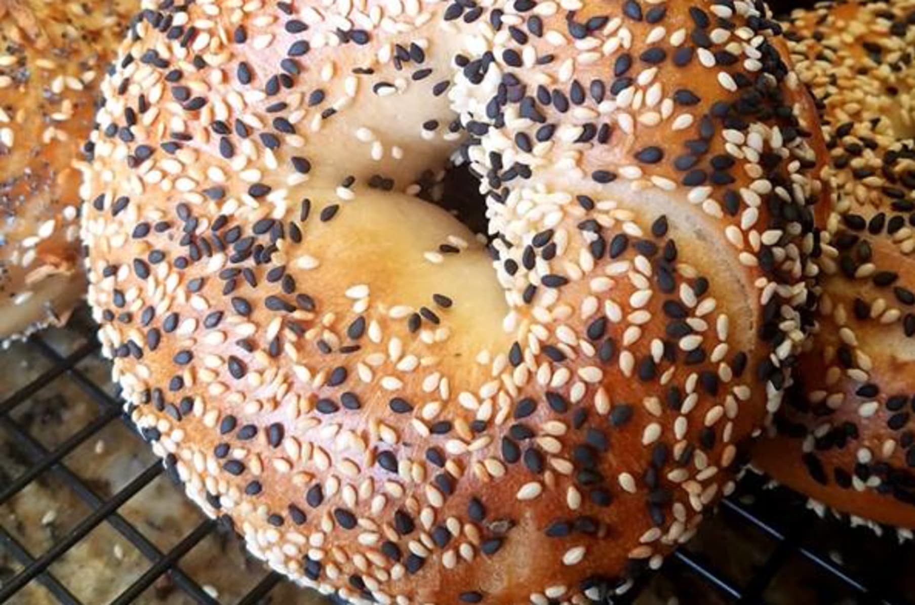 Jersey Bagels Indiegogo