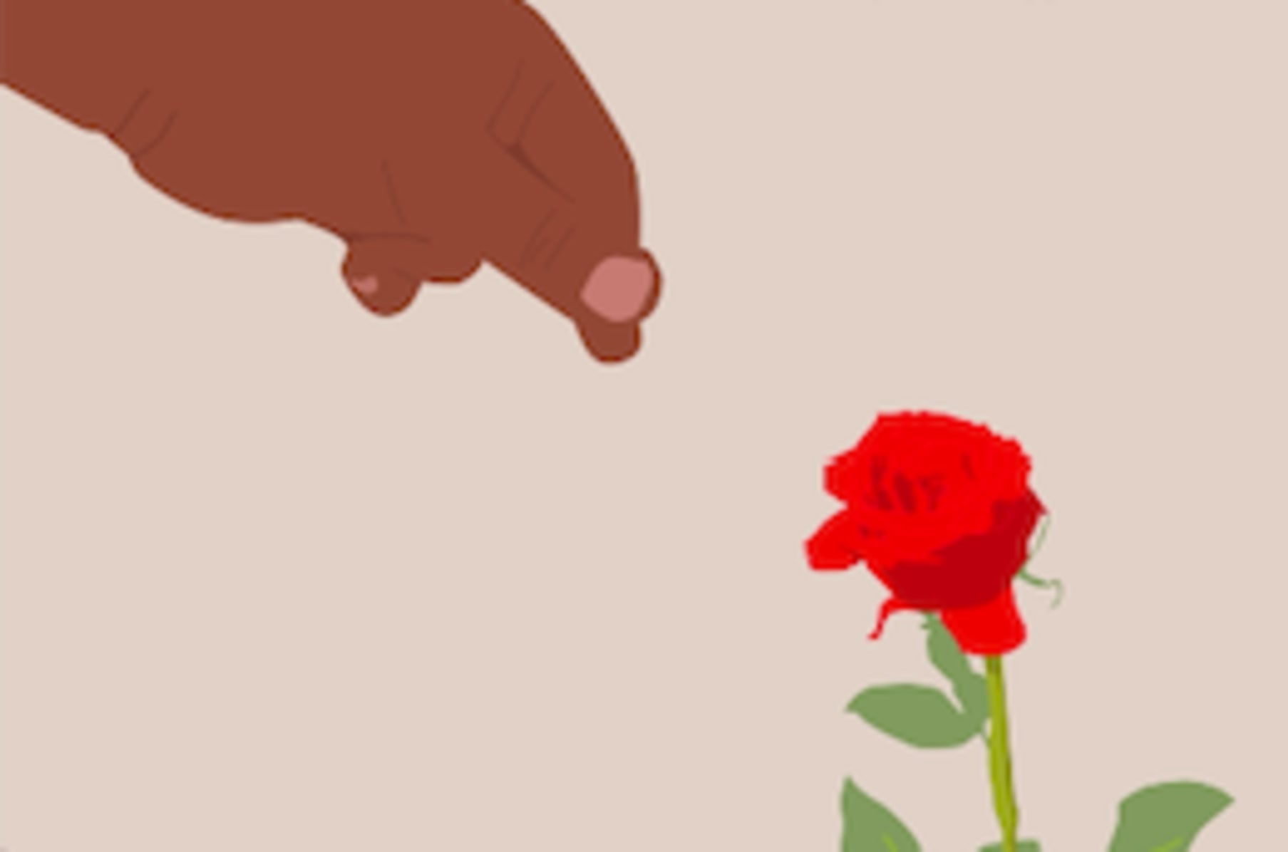 The Rose That Grew From The Concrete Indiegogo