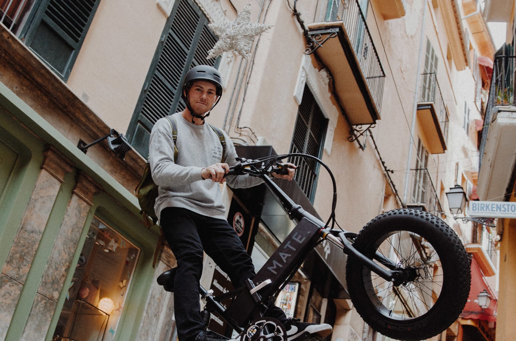 Mate x electric bike price 2025