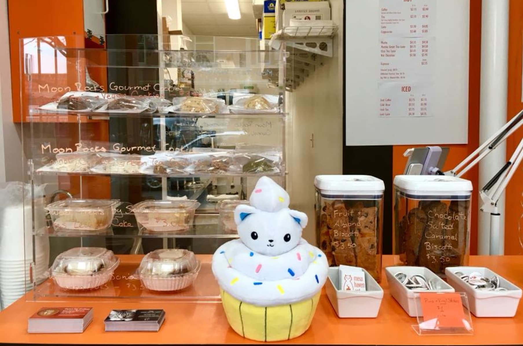 Mew Haven Cat Cafe Connecticut S First Cat Cafe Indiegogo