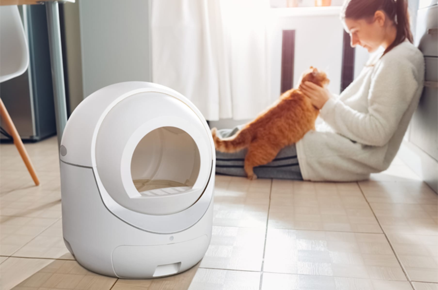 Igloo cat litter box review best sale