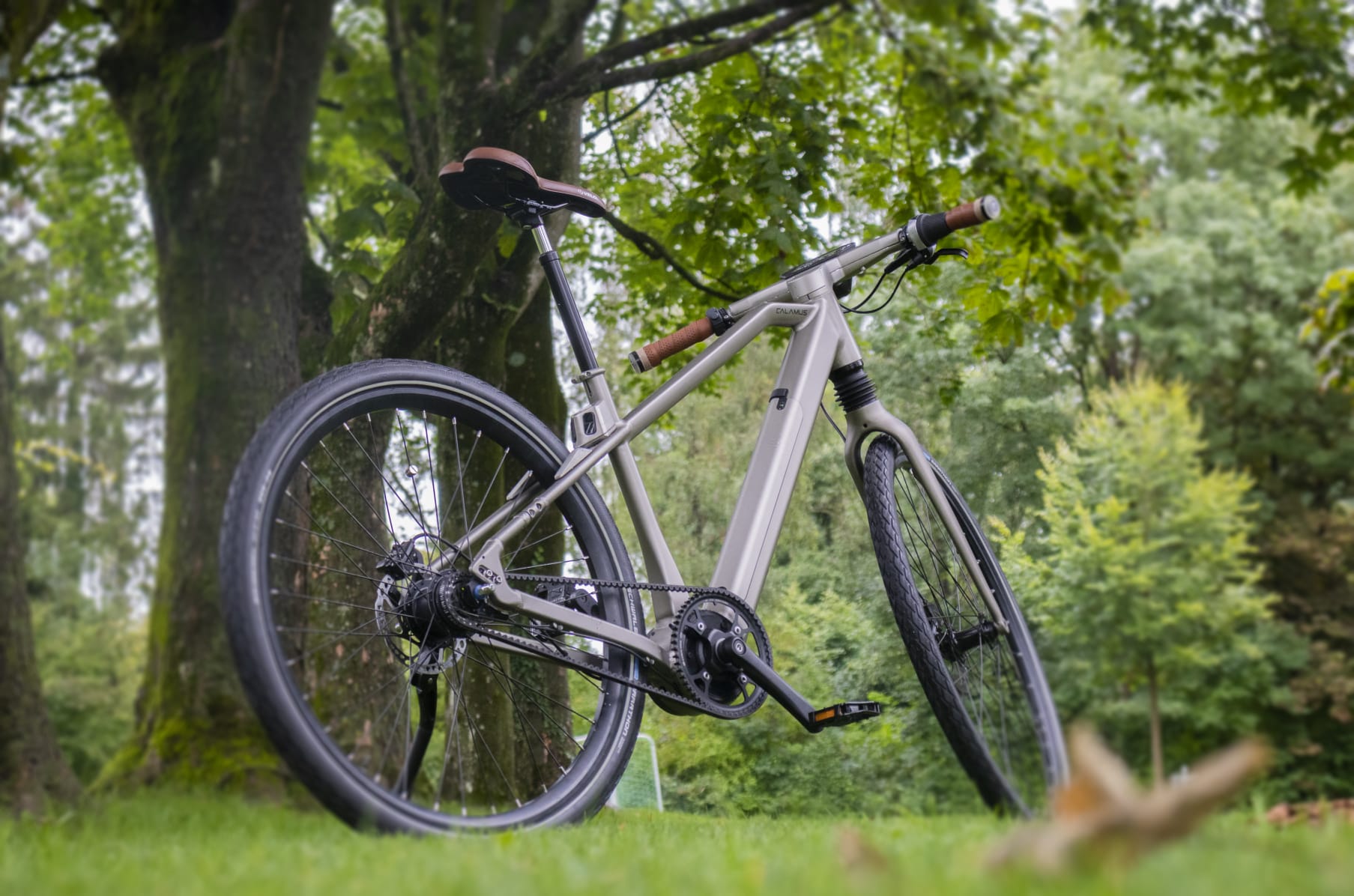 Calamus one ebike top