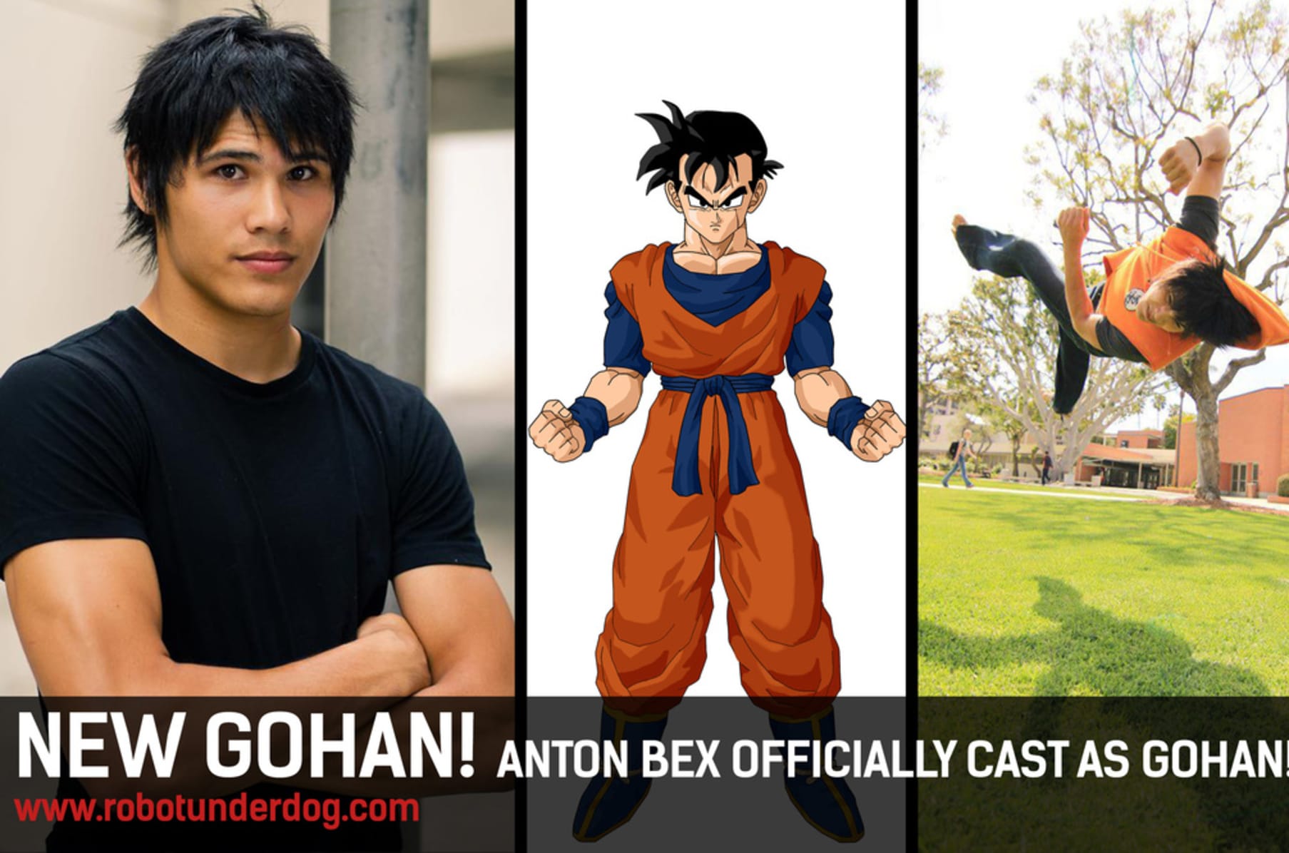 Dragon Ball Z Light Of Hope Pilot Indiegogo