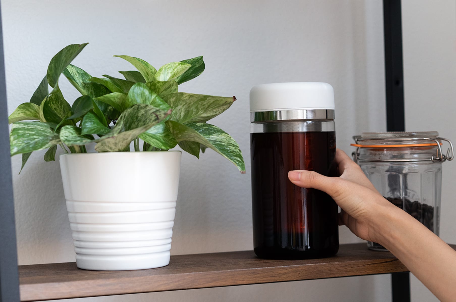 The Complete Shelbru System - Cold Brew Coffee Made Easier by SHELBRU —  Kickstarter