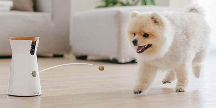Furbo World s Best Treat Tossing Dog Camera Indiegogo