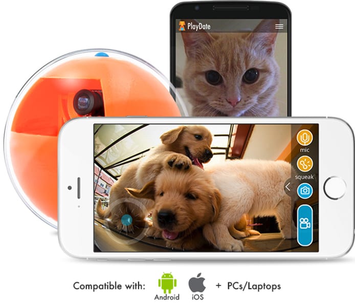 PlayDate World s First Pet Camera in a Smart Ball Indiegogo