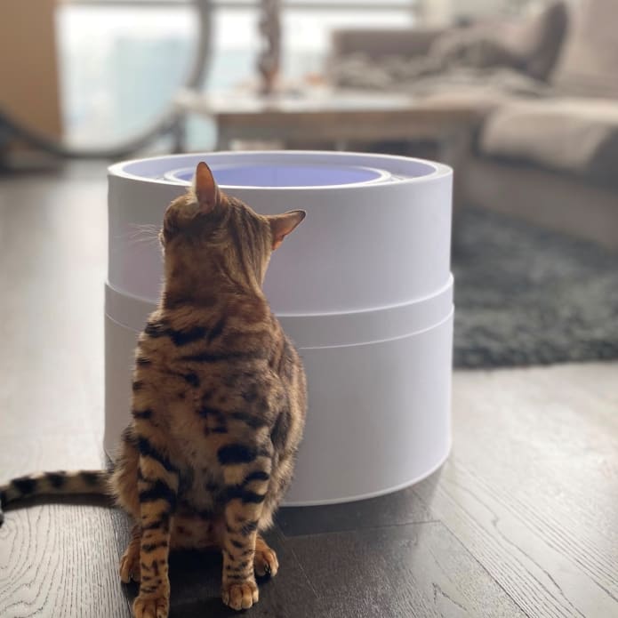 Boxscoop 2.0 World s Fastest Cleaning Litter Box Indiegogo