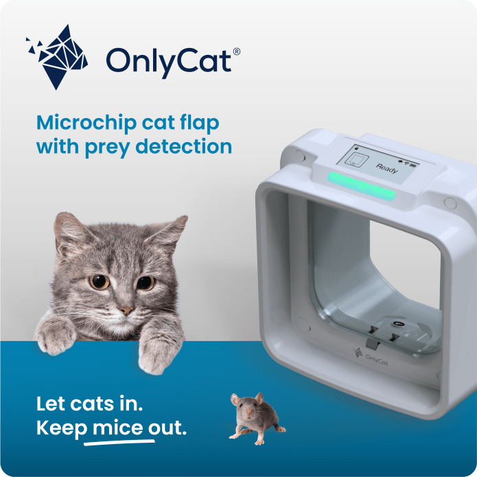 Fashion cat microchip cat flap