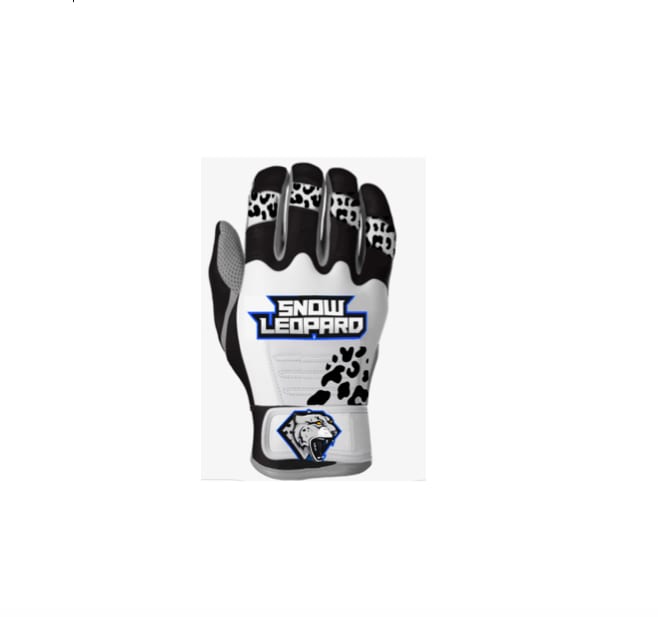 SNOW LEOPARD SPORTS HEATED BATTING GLOVES Indiegogo