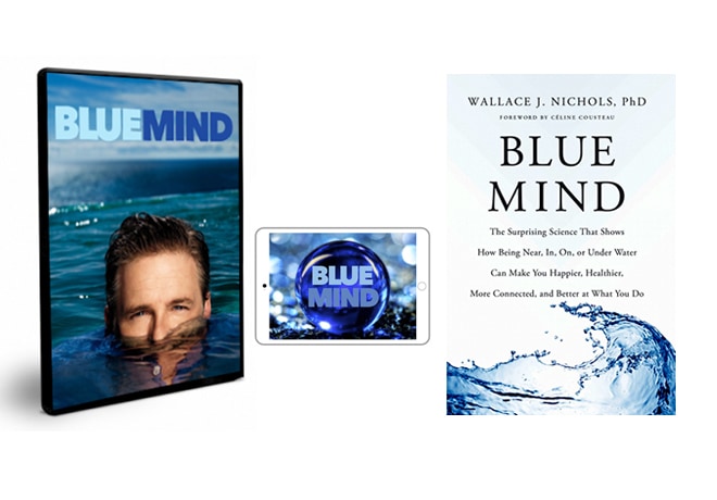 Blue Mind Indiegogo