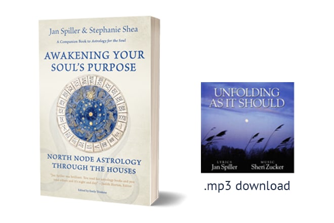 Help Me Finish Jan Spiller's Final Book | Indiegogo