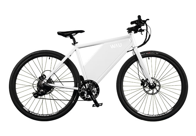 wau electric bike price