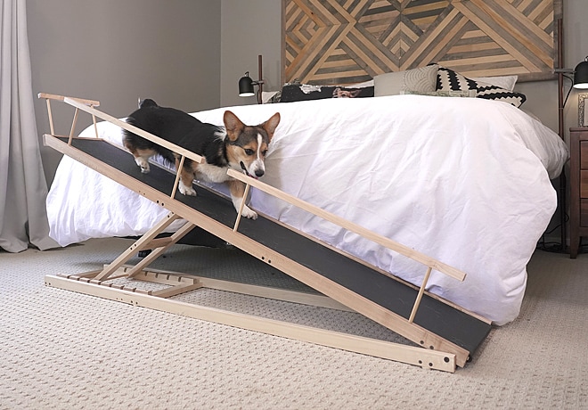 Indiegogo dog ramp top