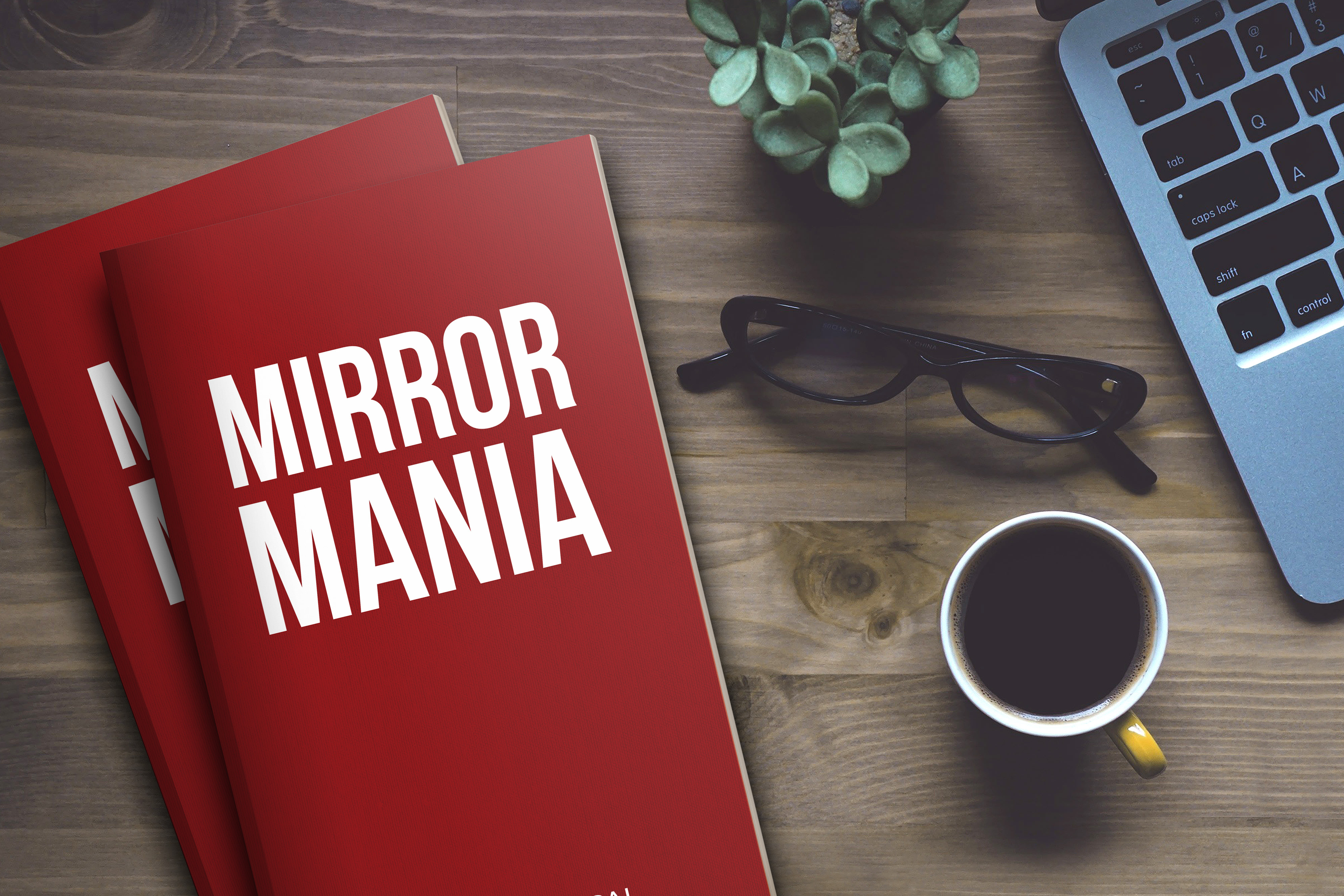 Mirror Mania By Roveena Chand Jassal Indiegogo