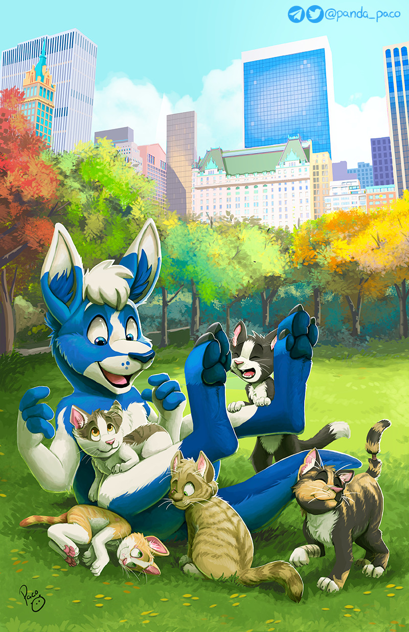 Pocari Roo Saves The Kitties Indiegogo