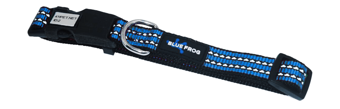 Blue frog shop dog collar