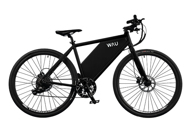 Wau electric bike hot sale price