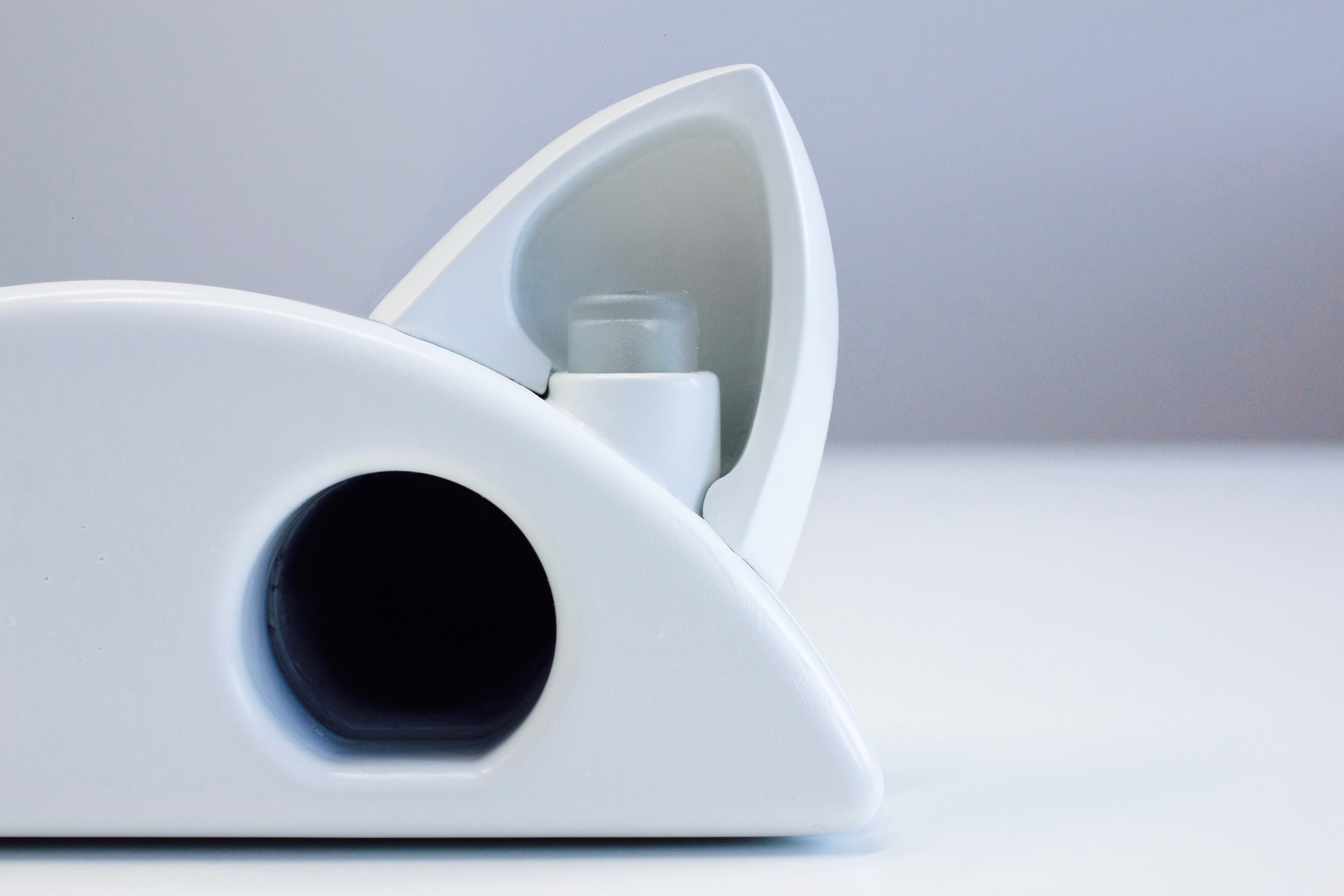 smart mouse trap