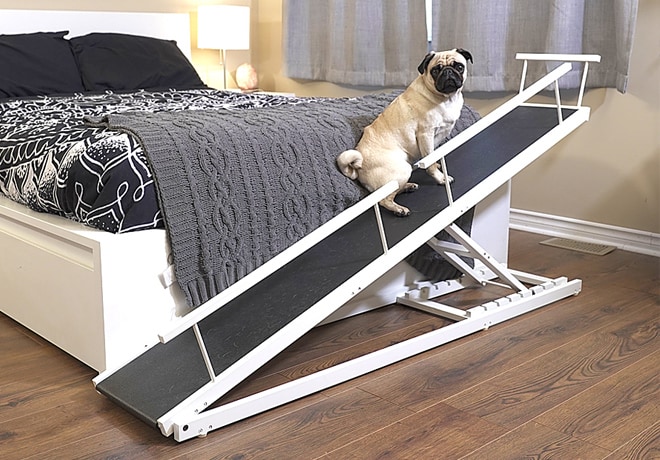 Indiegogo dog new arrivals ramp