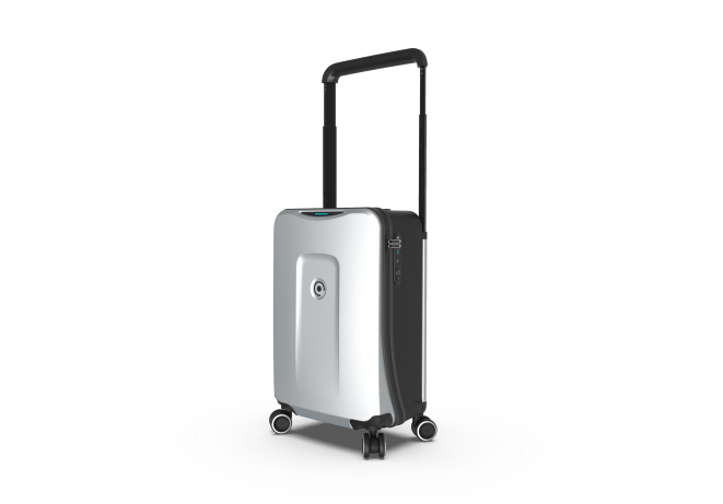 plevo luggage sale